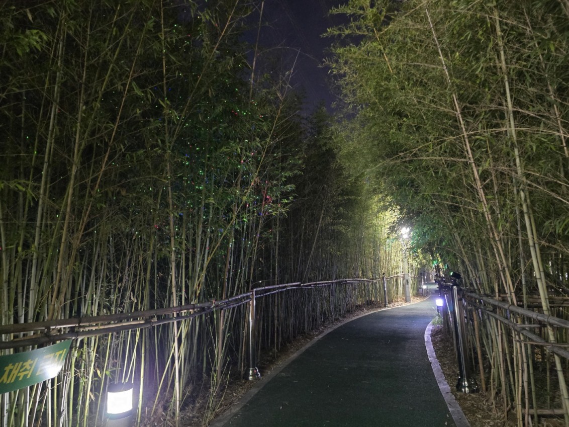 양산시, 양주동 대나무숲길에 ‘반딧불 조명’ 설치 보도자료 이미지