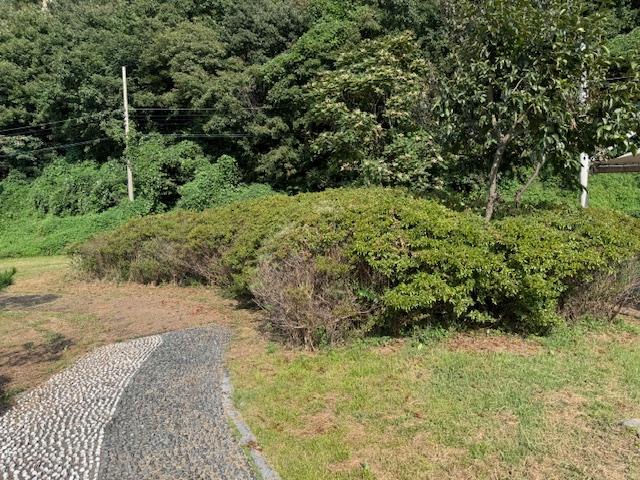 덕계동, 관내 수목 전정 작업 실시
