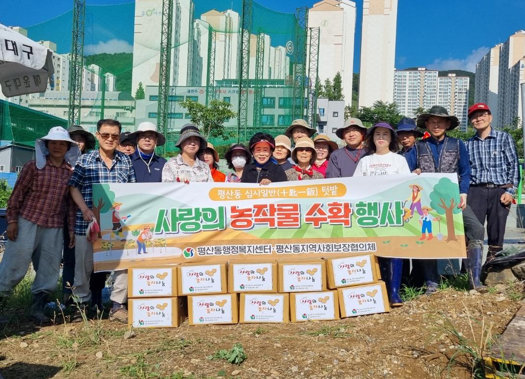 ‘사랑의 감자 수확 및 나눔 행사’실시