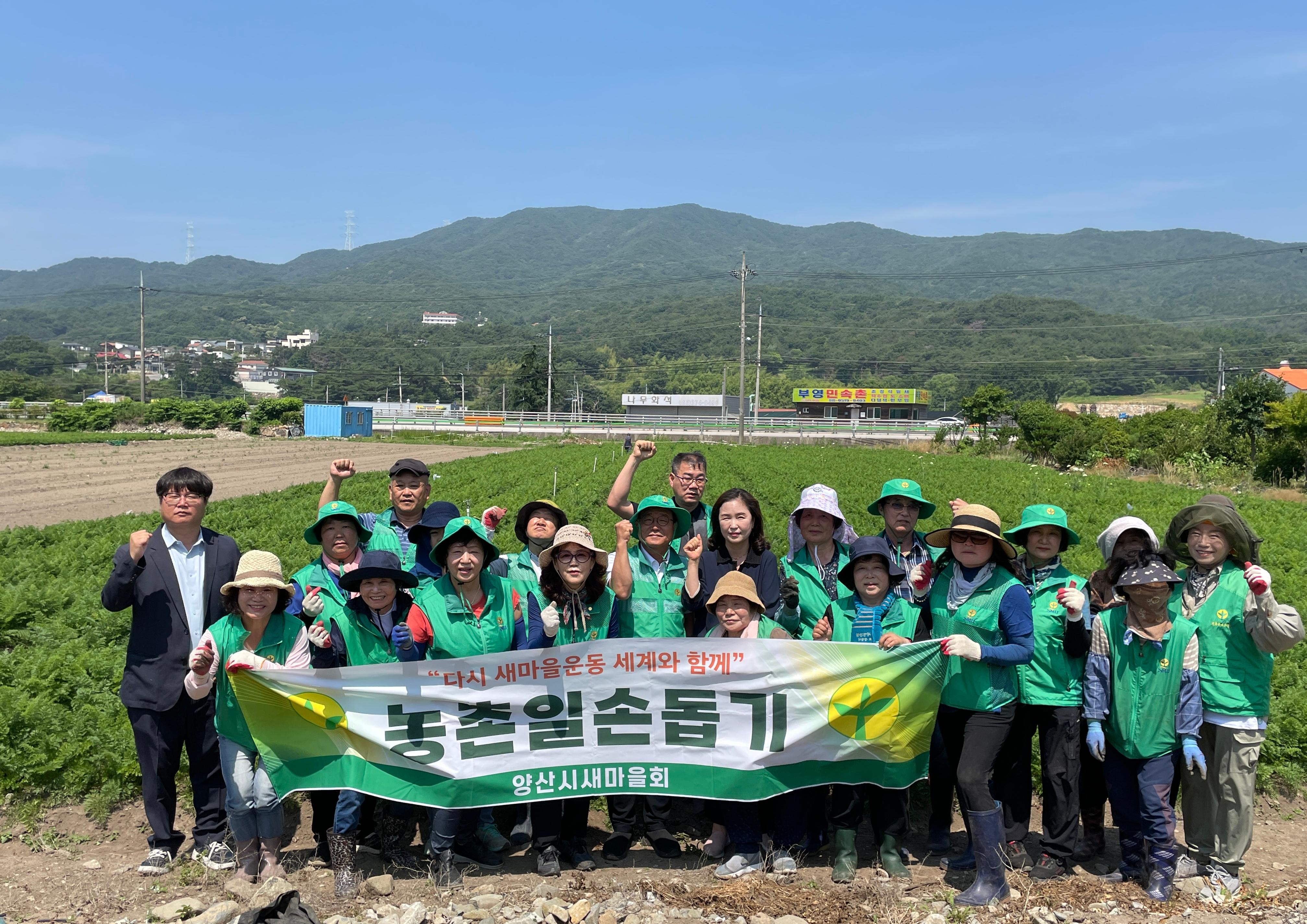 양산시 새마을회 농촌일손돕기