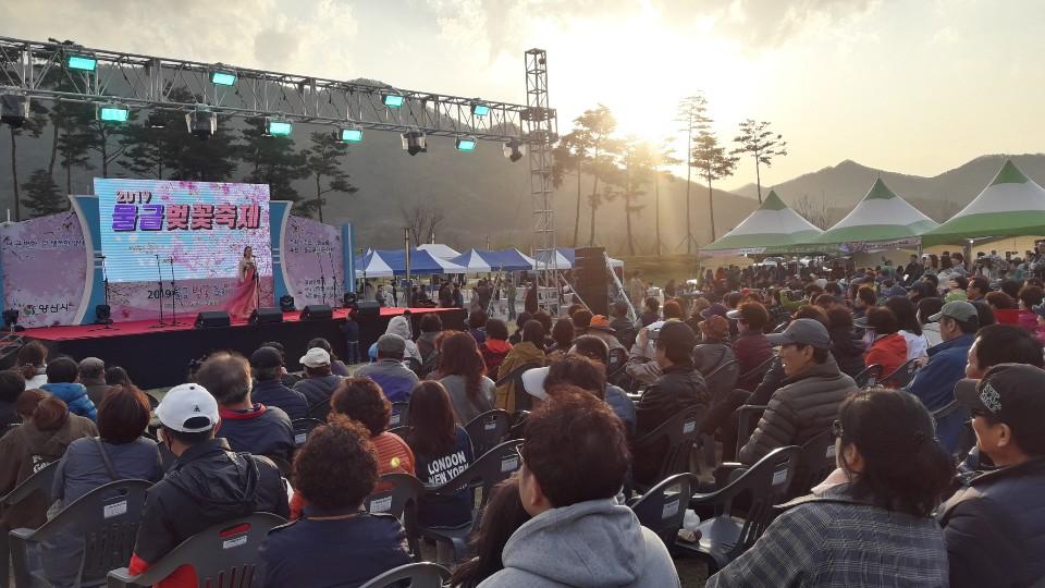 2019 물금 벚꽃 축제 사진