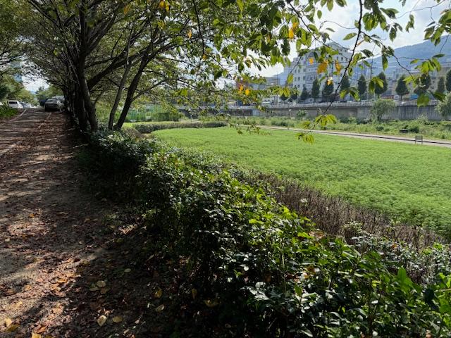 덕계동, 관내 수목 전정 작업 실시